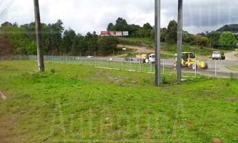 Imagem 2: Caxias Do Sul - Galpão/Depósito/Armazém - Distrito Industrial