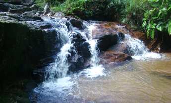 Imagem 2: Terreno de 270 ha para pecuária - ImaruíSC