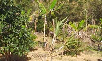 Imagem 3: Vende ser um sítio telefone