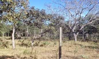 Imagem 3: Oportunidade, vendo um terreno de 1000 (mil metros quadrado