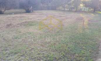 Imagem 3: Terreno - Centro - Elias Fausto