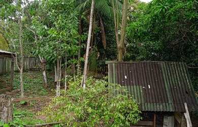 Imagem 8: Vendo casa mobiliada, reformada, Palio