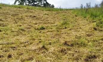 Imagem 6: Vendo agora esses terrenos em cotia!