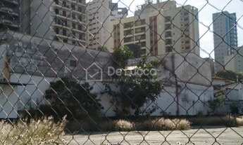 Imagem 4: área - Cambuí - Campinas