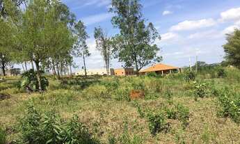 Imagem 2: Terreno para venda com 3.000 m2 em Quadra - SP