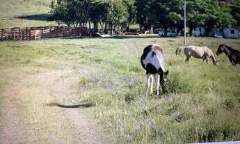 Imagem 3: Fazenda 120 Hectares Cachoeira do Sul - RS