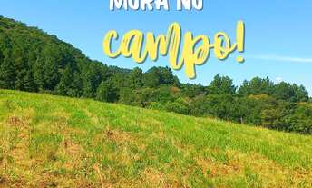 Imagem 7: CHÁCARA 2 HECTARES PARA MORADIA OU LAZER