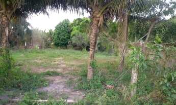 Imagem 4: Chacara toda plana, cercada, pertinho de tudo