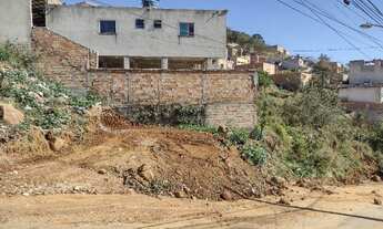 Imagem: Meio Lote Castanheira Santa Luzia
