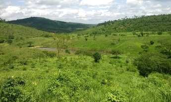 Imagem 6: Fazenda para venda. Com 1.419 ha em Jequitibá - Mundo Novo - BA