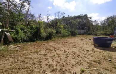Imagem 3: Terreno no bairro Luizamar Mirim, em Itanhaém, litoral sul de São Paulo, ficando no lado s