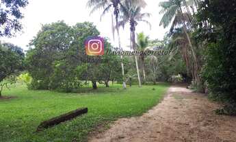 Imagem 7: Fazenda/Sítio/Chácara para venda possui 10000 metros quadrados com 4 quartos