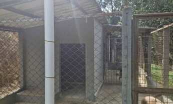 Imagem 2: Chácara a venda em Astolfo Dutra