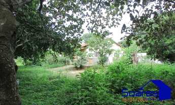 Imagem 4: Brazlândia - Chácara - Brazlândia