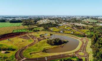 Imagem 5: Toledo - Lote/Terreno - Vila Industrial