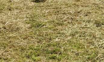 Imagem 6: Terreno imperdível matinhos litoral