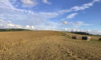 Imagem 2: Porto Amazonas - 389 Hectares - Plantando 90 Alqueires - Com Sede Completa