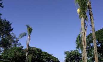 Imagem 2: Sítio em condomínio fechado