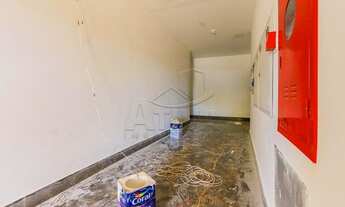 Imagem 3: Toledo - Apartamento - Jardim La Salle