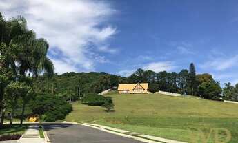 Imagem 7: JOINVILLE - Terreno Padrão - América