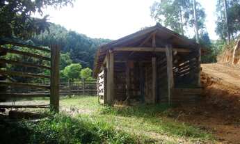 Imagem 3: Terreno de 270 ha para pecuária - ImaruíSC