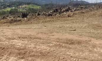 Imagem: Terreno cercado com alambrado