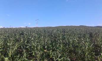 Imagem 2: Fazenda 120 Hectares Cachoeira do Sul - RS
