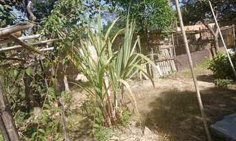 Imagem 5: Fazenda/Sítio/Chácara para venda possui 425 metros quadrados com 2 quartos