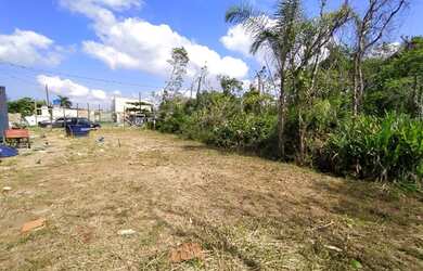 Imagem 4: Terreno no bairro Luizamar Mirim, em Itanhaém, litoral sul de São Paulo, ficando no lado s