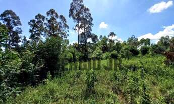 Imagem 6: Área de terra com 3.600m² em Eldorado do Sul - Aceito parcelamento