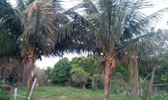 Imagem 5: Chacara toda plana, cercada, pertinho de tudo