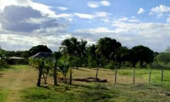 Imagem 6: Fazenda com 300 hectares em Boa Vista/RR região do passarão, A 60 km de Boa Vista, a 20 km