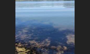 Imagem 6: Lote terreno 4.000 em cond fechado com acesso ao lago Corumbá IV