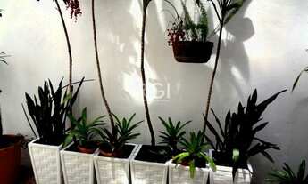 Imagem 6: Garden em Menino Deus