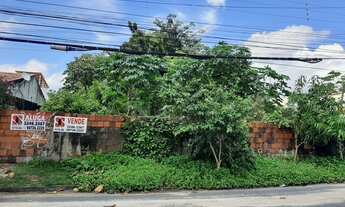 Imagem 3: Terreno Disponível para Locação E Venda