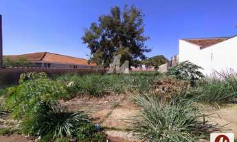 Imagem 1: Terreno (terreno normal