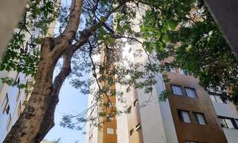 Imagem 2: SãO PAULO - Padrão - Perdizes