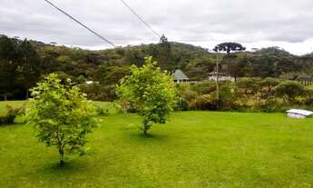 Imagem: Chácara linda oportunidade única