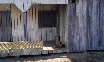 Imagem: Vende-se ou troca-se