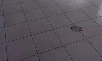 Imagem 7: Casa (hibrida) para Locação Vila Maria 5 quartos (salas