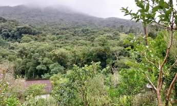 Imagem 4: Chácara 8 mil metros Campina grande do sul