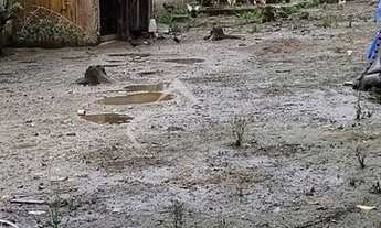 Imagem 3: Casa com 1 quarto - Bairro Boracéia em Bertioga