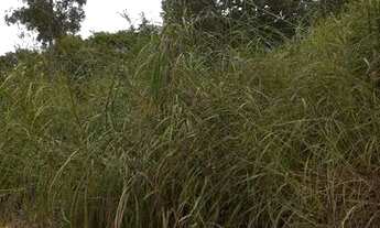 Imagem 4: Aceito carro, moto, kit net, apartamento