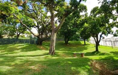 Imagem 7: Apartamento com 2 dormitórios à venda em Belo Horizonte