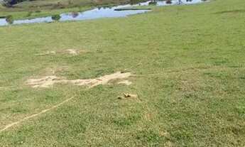 Imagem 6: Venda de chácara