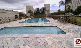 Imagem 5: Apartamento (tipo - padrao) 2 dormitórios, cozinha planejada, portaria 24hs, lazer, salão