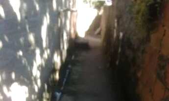 Imagem 2: Alugo casa em Santa Cruz