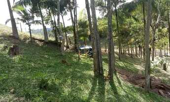 Imagem: CAMBORIú - Sítio - Vendo casa na área