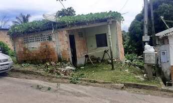 Imagem 3: Terreno em Figueiredo