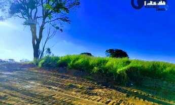 Imagem: 29ANVEM QUE TENHO NOVIDADE